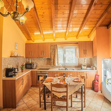 帕莱欧卡斯提撒Tsoukias House公寓 外观 照片